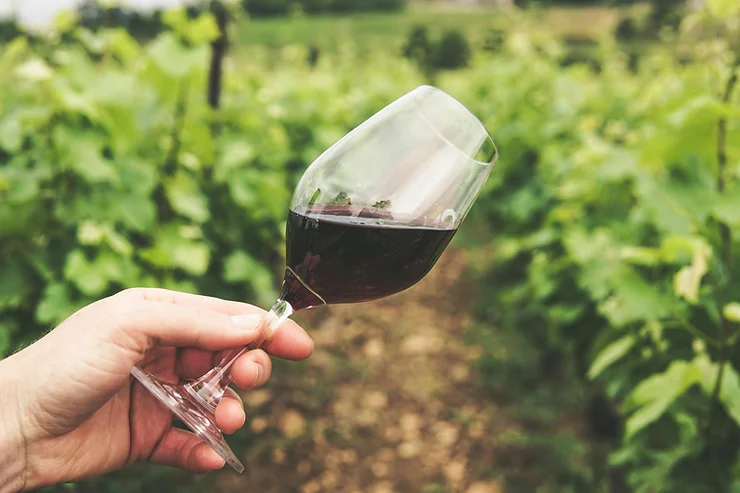 transportation to Wente vineyards