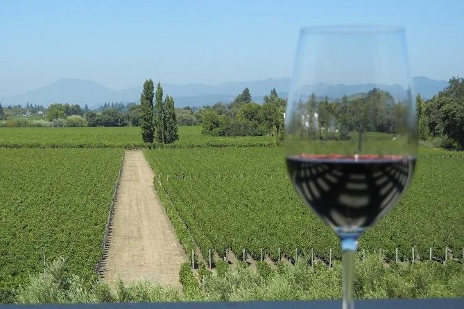 Perfect Birthday Wine Tour