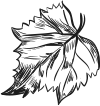 leaf