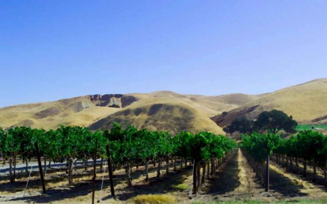 Livermore Valley’s Taste Our Terroir Returns July 14–17